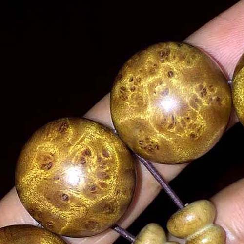 �ղؼ��e��z�ľС�~�E骝M�����������ִ�2.0